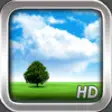 Icon of program: Weather Motion HD