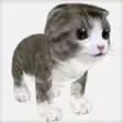 Icon of program: Talking friend. Kitten 3d