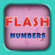 Icon of program: Flash Numbers