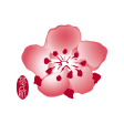 Icon of program: China Airlines App