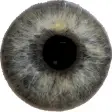 Icon of program: Eye Diagnosis
