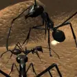 Icon of program: Ant Simulation Full