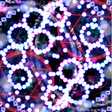 Icon of program: Touhou Serene Retro Histo…