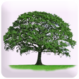 Icono de programa: Know Yourself Personality…