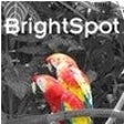 Icon of program: ImageElements BrightSpot