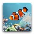 Icono de programa: aniPet Aquarium LiveWallp…