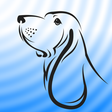 Icon of program: Blue Hound