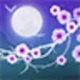 Icon of program: Blooming Night Live Wallp…