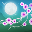 Icono de programa: Blooming Night Live Wallp…