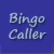 Icon of program: Bingo Caller for Windows …