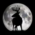 Icon of program: Deer Hunters MoonGuide