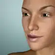 Icon of program: Face Model - 3D virtual h…
