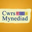 Icon of program: Cwrs Mynediad - Welsh for…
