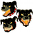 Icono de programa: DayZero Systems SigFree C…