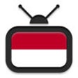Icon of program: TV Indonesia HD - menonto…