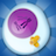 Icon of program: FCS - Mitosis & Meiosis