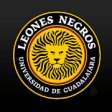 Icon of program: Leones Negros Oficial