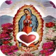 Icon of program: Virgen De Guadalupe Amor …