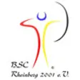 Icon of program: BSC Rheinberg 2001 e.V.
