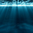 Icon of program: Under The Ocean Live Wall…