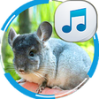 Icono de programa: Chinchilla Sounds