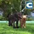 Icono de programa: Panther Family Simulator