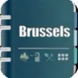 Icon of program: Brussels Guide