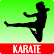 Icono de programa: Karate Training