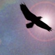 Icono de programa: Shamanic Journey Drumming