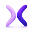 Icon of program: DestelloX 3000 palabras I…
