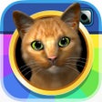 Icon of program: InstaKitty 3D - Virtual C…