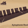 Icono de programa: Xylophone Real