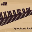 Icon of program: Xylophone Real
