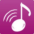 Icon of program: WiPlayer