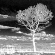 Icon of program: SpectraCam See invisible…