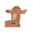 Icon of program: My Cattle Manager - Lives…