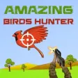 Icon of program: Amazing Birds Hunter