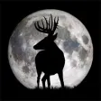 Icon of program: Deer Hunters Moon Guide