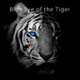 Icono de programa: Theme -Blue Eye of the Ti…