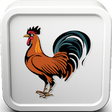 Icono de programa: Suara Ayam Bekisar Juara