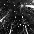 Icono de programa: Dark Snow Live Wallpaper
