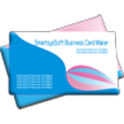 Icono de programa: SmartsysSoft Business Car…
