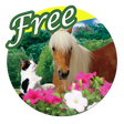Icon of program: Beautiful Forest Free LWP