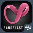 Icon of program: SandBlast Protect - Black…