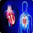 Icono de programa: Human Anatomy