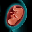 Icon of program: Astha Pregnancy