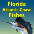 Icon of program: Guide to Florida Atlantic…