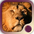 Icono de programa: Inner Power Hypnosis Medi…