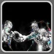 Icono de programa: Boxing