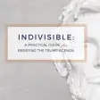 Icon of program: Indivisible